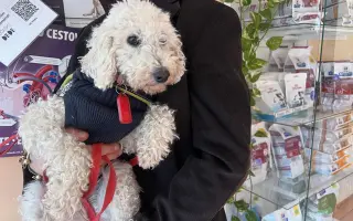 Operace pro Chanelku 💜