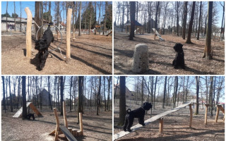 Rekonstrukce psího parku v Českém Brodě
