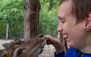 Lehký vozík pro syna Ondřeje, abychom  mohli zůstat v pohybu.