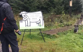 Járova operace v Drážďanech se zdařila, osud Járovi ale nepřál
