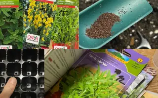 Podpořte bylinkový projekt Azeret Herbs