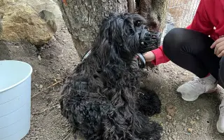 Operace očí  a veterina pro Medvídka Pú 🩷