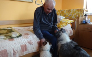 Canisterapie CANTES v krajích ČR jako sociální rehabilitace