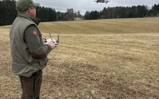 Dron = naděje pro srnčata, netopýry, ptáky a stromy