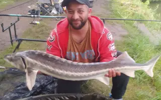 Pomozte Pavlovi vrátit se k nám zpět