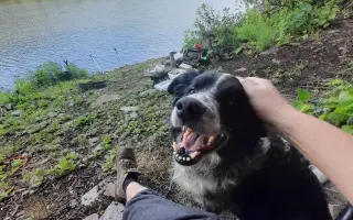 Šance na zrak pro Tedyka