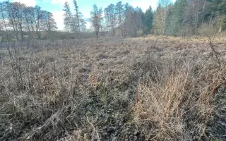 Pomoc s úhradou právních nákladů