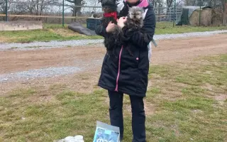 Voříškov prosí o pomoc pro psí útulkáče, poničku Babuňu, kočky a další zvířátka