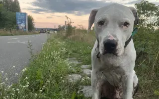 Pomozte Maronkovi bojovat s agresivní rakovinou
