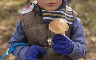 Přírodní zázemí pro děti v lesním klubu Kamínek