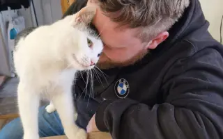 Z nuly zpět za hledáček - aneb nový začátek po velkém pádu