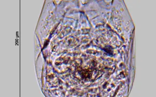 Hudba navzdory válce: pomozte vydat album mladým zpěvákům z Konga