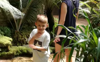 Bezpečný domov pro Nicolase