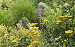 „Kniha, která promění vaši zahradu v místo plné přírody, života a zdravé půdy.“