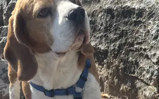 Maxíček s andělskými křídly