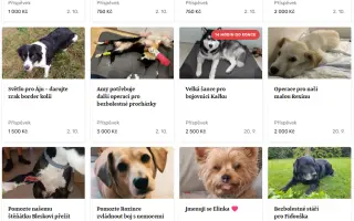 Za každé další ráno s Daisy 🐾 Za každé další ráno s Daisy 🐾