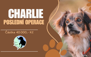 Poslední operace pro Charlieho!