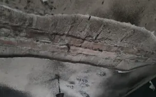 Pomozte rodině se čtyřmi dětmi vrátit se do svého domu
