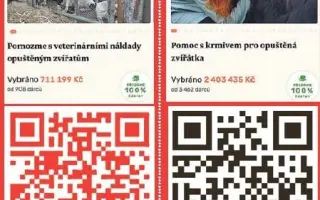 Pomozme s veterinárními náklady opuštěným zvířatům