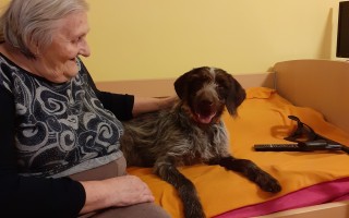 Canisterapie CANTES v krajích ČR jako sociální rehabilitace