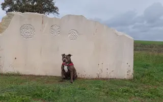 Pomozme Ele opět poznávat svět