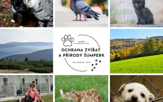 Zvířata na šumpersku potřebují Vaši pomoc