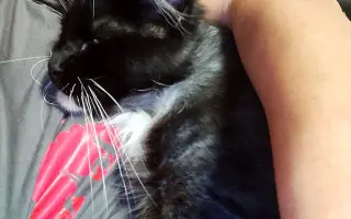 Společně ❤️ pro zvířata i v roce 2026