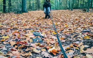 Léčba, která nekončí - Fůrie