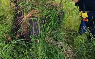 Mláďata na jaře, ostatní zvířata celoročně - ti všichni nás potřebují!