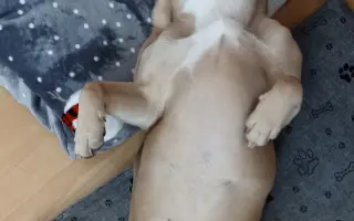 Operace pro Dexíka