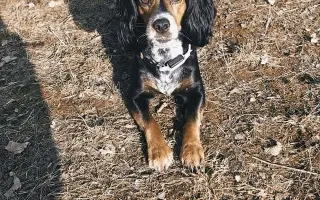 Shamy bouje s bolestí. Pomozme jí prožít stáří důstojně