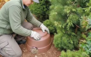 POMOC PRO FOXÍČKA, ASPENA A TAFFY-JACKA