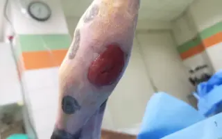 Hříbátko Čárlí, boj o plnohodnotný život