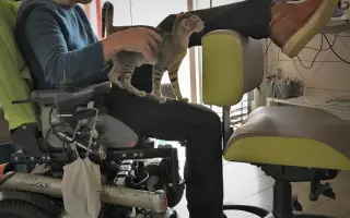 Auto pro Petra, nejlepšího manžela na světě
