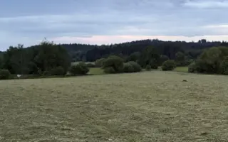 Naděje pro srnčata z Blatenska