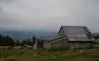 Z nuly zpět za hledáček - aneb nový začátek po velkém pádu