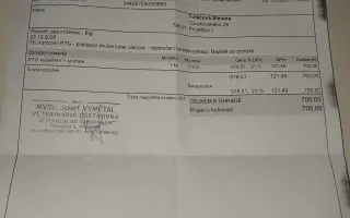 Bigiho srazilo auto