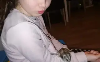 Auto pro Jennifer - svůj nejtěžší boj zatím vyhrála, pomozme jí na další cestě