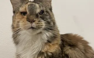 Pomoc pro Enie v boji s nádorem