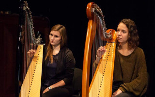 Koncertní harfa pro Miriam