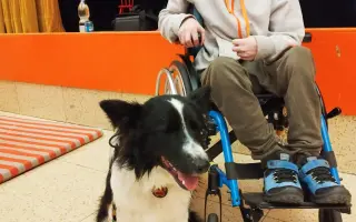 Větší auto pro Tomáše a Jakuba