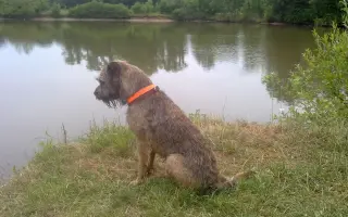 Ondra bojuje s nádorem mozku – podpořme ho