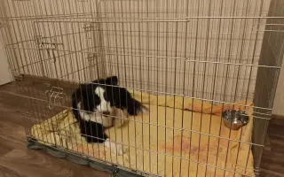 Pomozte Lucy prodloužit život