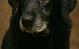 Pomozte vytvořit místo, kde vzpomínky léčí a dávají naději. 💔