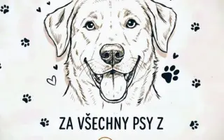 POMOC PRO FOXÍČKA, ASPENA A TAFFY-JACKA