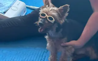 Pomoc Majkynkovi zpět na nohy♥️
