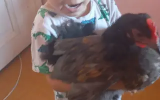Sbírka pro Izidora a jeho rodinu