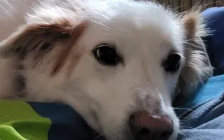 Šťastnější dny pro Miu