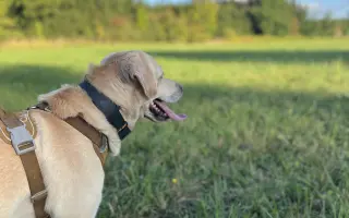 Pomozme Timmymu znovu stát na vlastních nohách.