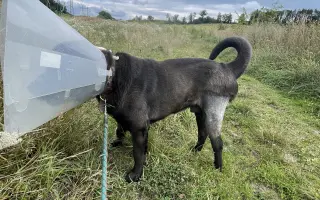 Aby mohl být Drobeček stále Drobečkem